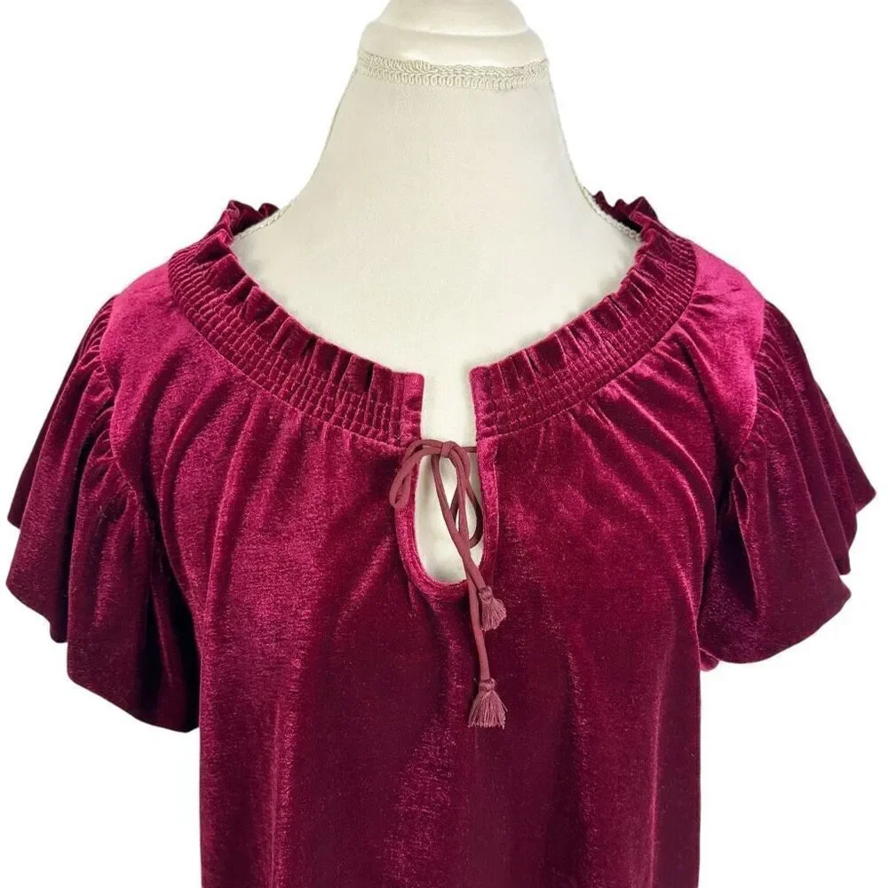 Free People Terese Garnet Red Velvet Short Puff Sleeve Top Boho Fall Size M